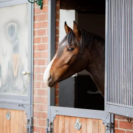 Auf Bauernhof *